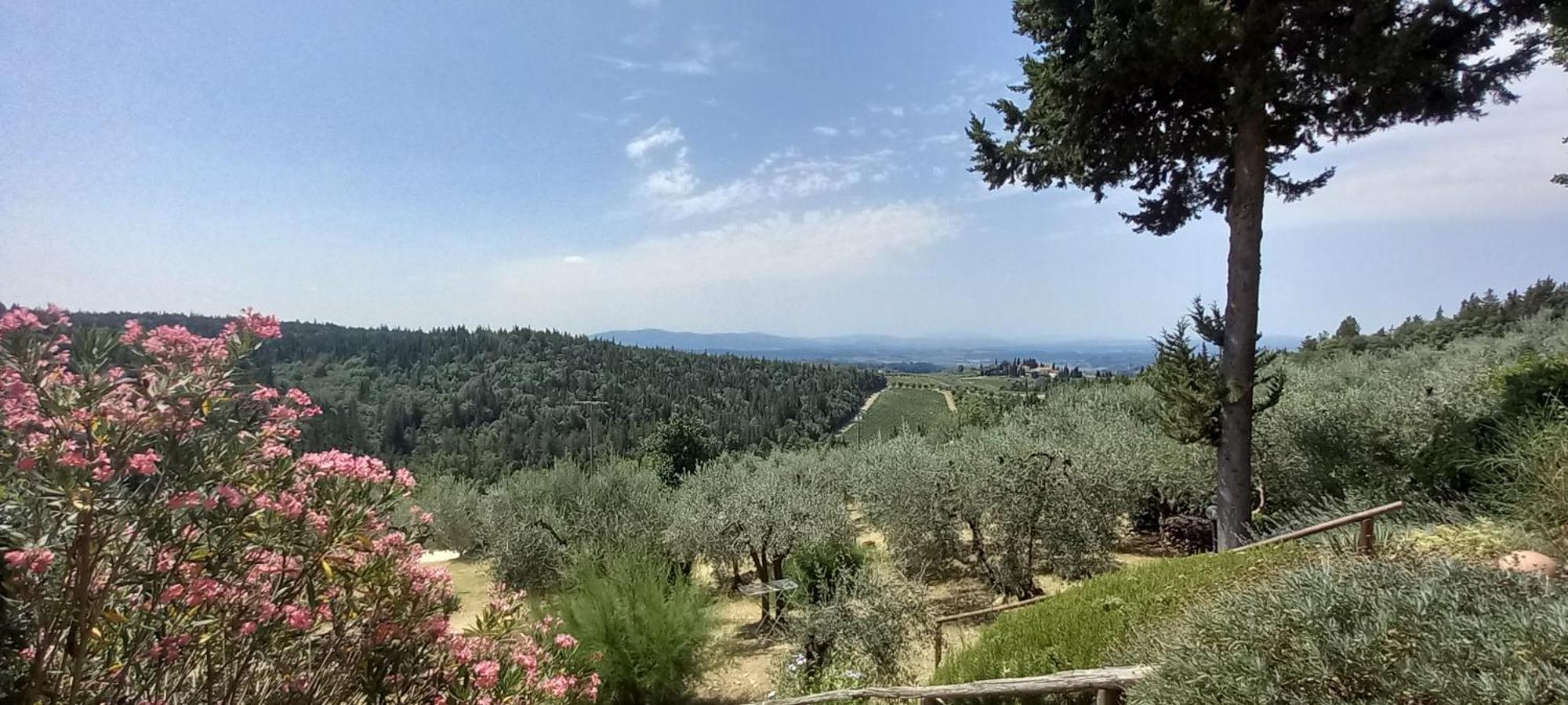 Borgo Nel Chianti Istrice Con Piscina Tennis E Wifi カステッリーナ・イン・キアンティ シエナ エクステリア 写真