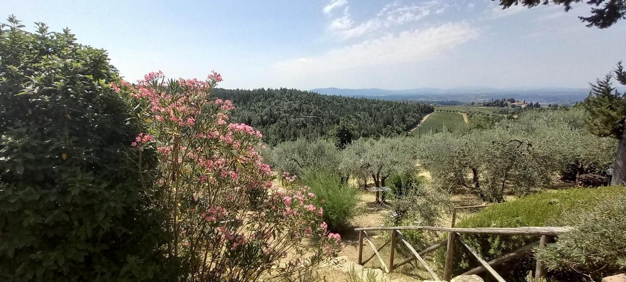 Borgo Nel Chianti Istrice Con Piscina Tennis E Wifi カステッリーナ・イン・キアンティ シエナ エクステリア 写真